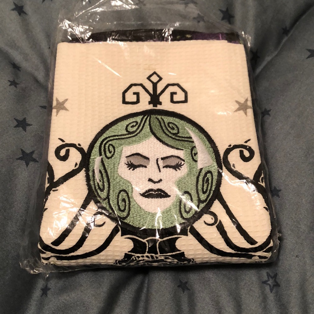 Haunted Mansion Dishtowel Set